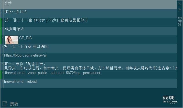 ditto 使用效果截图