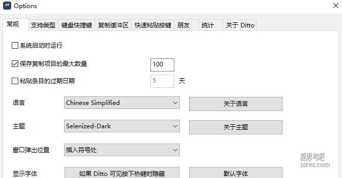 ditto 设置界面