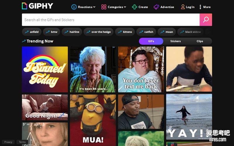 【GIPHY官网】giphy.com全球最大动图搜索下载网站